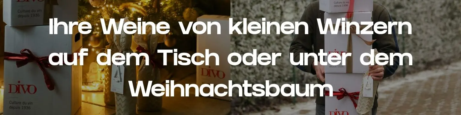 Vins de fêtes