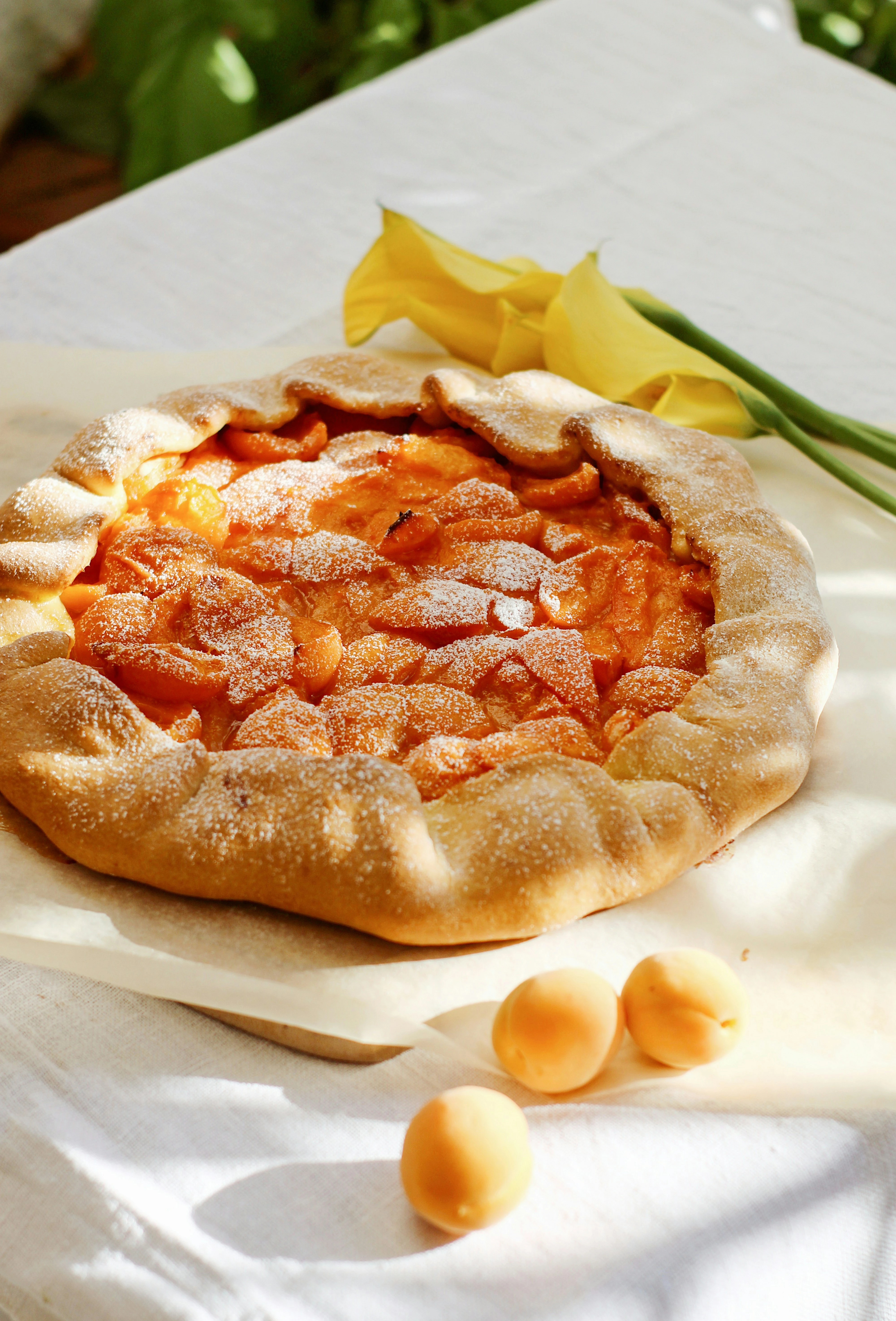 Tarte rustique aux abricots